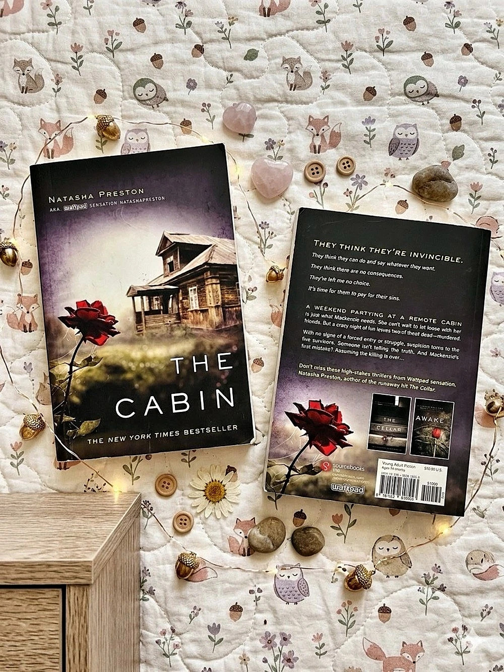 Sourcebooks Fire The Cabin by Natasha Preston Paperback Novel